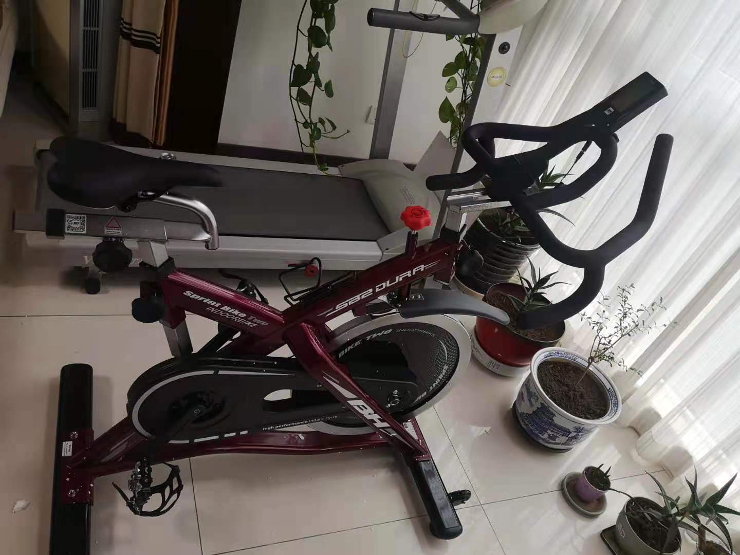 麻豆色欲AV传媒在线观看